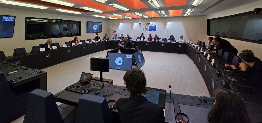 Kosova ve Kuzey Makedonya Türkleri AP Azınlıklar İntergrubu’nda tanıtıldı