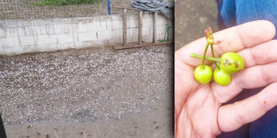 Dolu yağışı Yassıköy ve civar bölgelerde zarara neden oldu