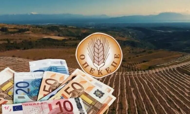OPEKEPE’de büyük vurgun: 1.036 vergi numarasıyla 22,7 milyon euroluk yasa dışı destek alındı