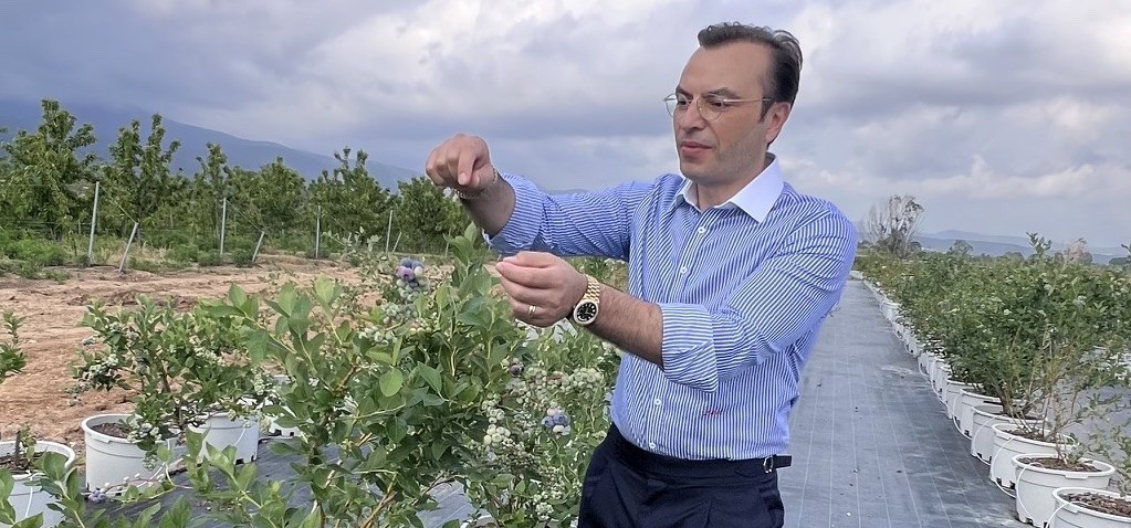 Gümülcine’de Bluefarm çıkarması: Yaban Mersini yatırımı Türkiye basınına tanıtıldı