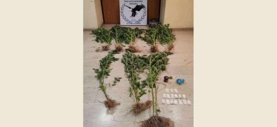 Şapçı’da büyük uyuşturucu operasyonu!