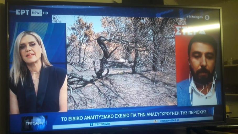 Milletvekili Ferhat, 'Tritologies'e yangınlarla ilgili açıklamalarda bulundu
