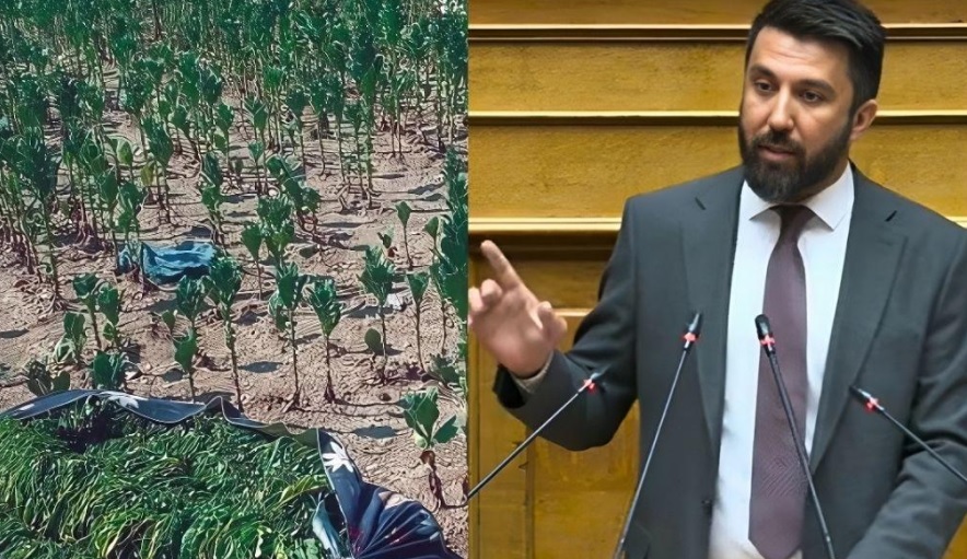 Ferhat: “Bu gelişme, Rodoplu tütün üreticilerimiz için önemli bir adımdır”