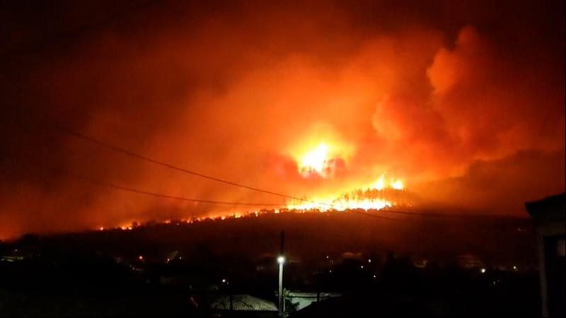 Yangınlarda ölenlerin kimlik tespiti için özel hat kuruluyor