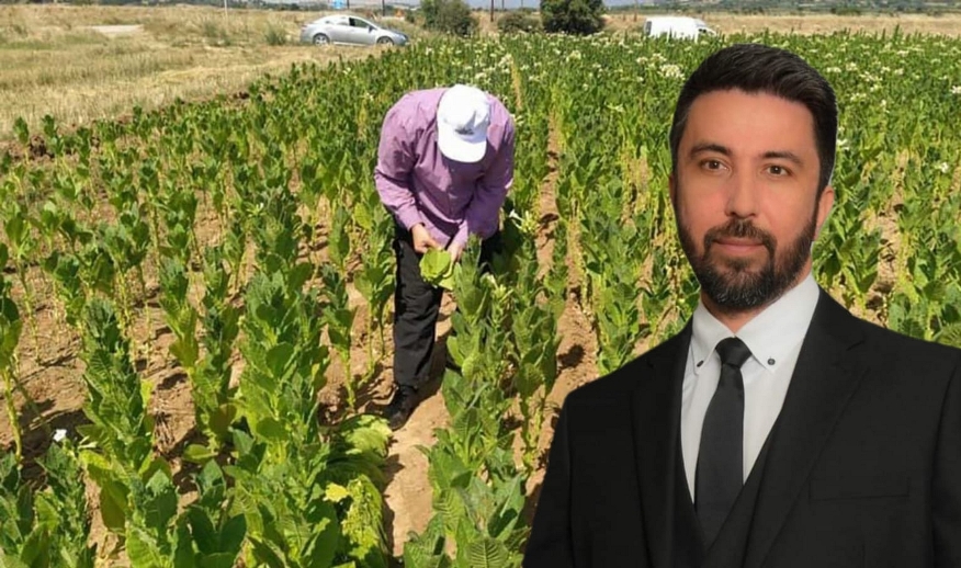 Ferhat: “Bu siyasi gidişata dur demek için buradayız”